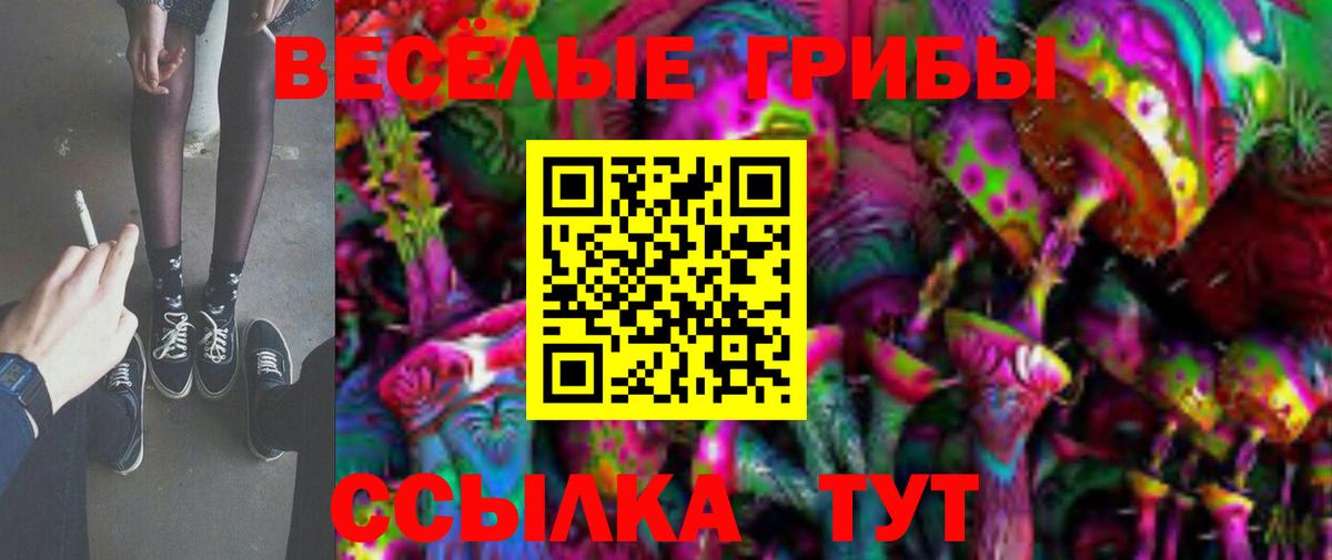Псилоцибиновые грибы Cubensis  Вход с VPN  Александров 